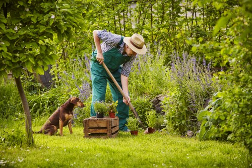 Senior tree surgeon handling an escalated complaint professionally