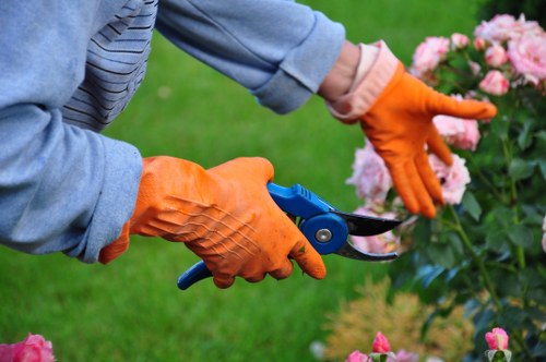 Local hedge maintenance for a front garden in Muswellhill
