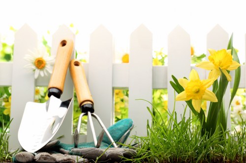 Tidy tree maintenance for a garden in Muswellhill